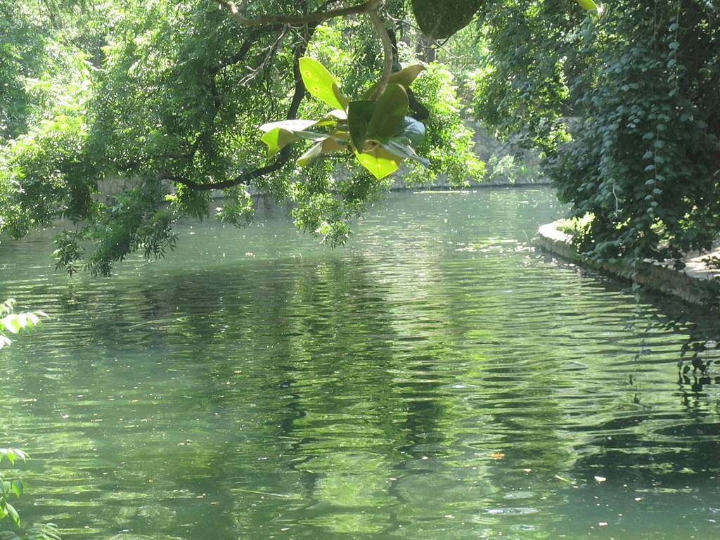 Geographic Features and Natural Resources